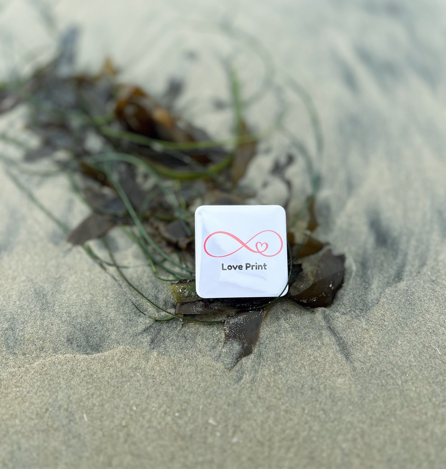 Custom Photo Magnets (Set of 6)